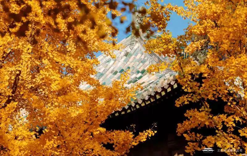 繽紛三孔 | 多彩秋日游，享受視覺(jué)盛宴！一起“趣”三孔吧