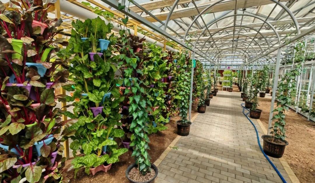 微信圖片_20241024140904 微信圖片_20241024140904