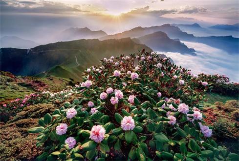 那些不應(yīng)該被遺忘的濟寧古八景