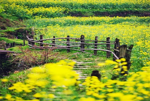 扎實(shí)做好“六穩(wěn)”“六?！惫ぷ?促進(jìn)經(jīng)濟(jì)秩序加快恢復(fù)轉(zhuǎn)型發(fā)展加力提速